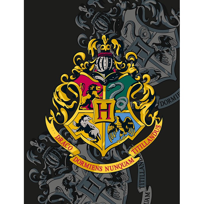 Manta Polar Licencia Oficial Harry Potter de 170X130 cm Hp8168Fb